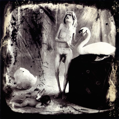 leda_Joel_Peter_Witkin.jpg