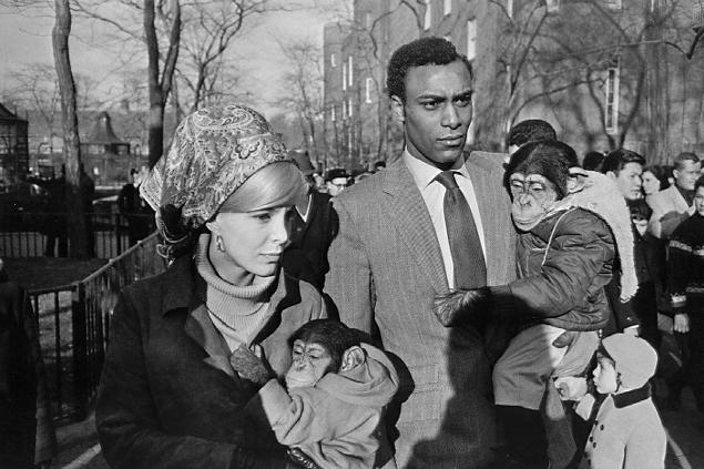 Garry_Winogrand_1964.jpg