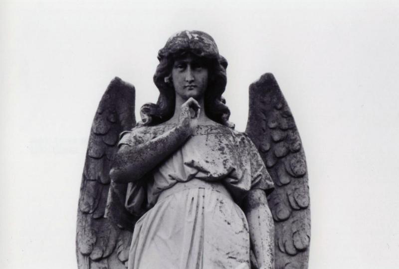 45139104.Angellookingdown.jpg