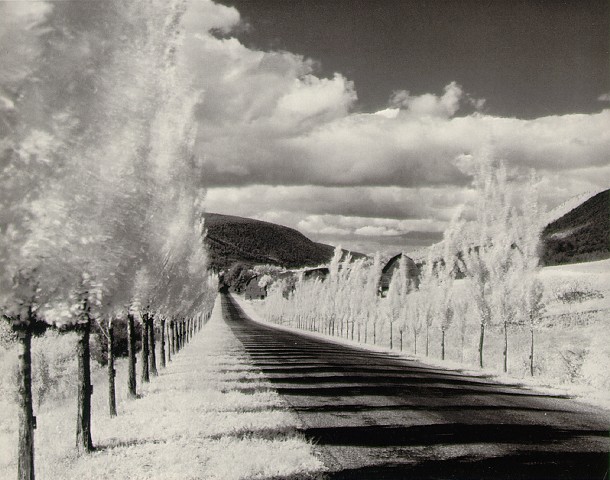 Minor_White_2.jpg