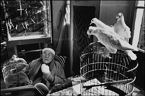 Henri_Matisse_0.jpg