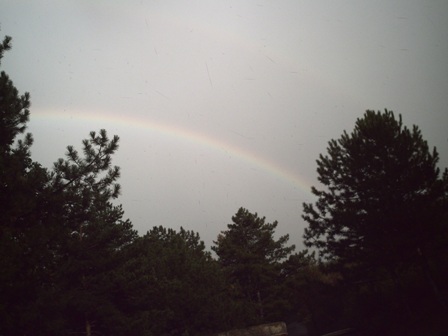 PICT0073.JPG