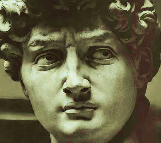 david3.jpg