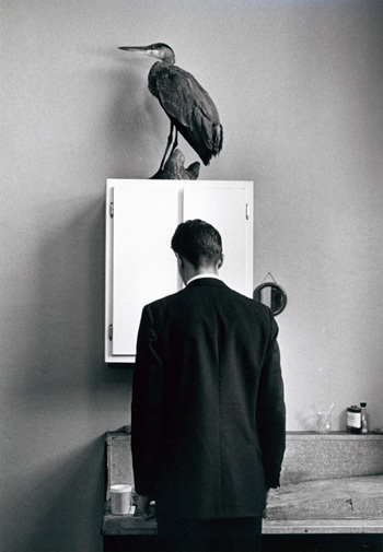 kertesz_heron_w_1_.jpg