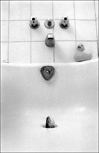 bathtub_fish_1_.jpg