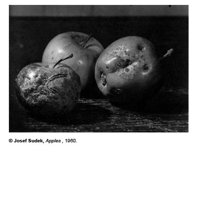 sudek1.jpg