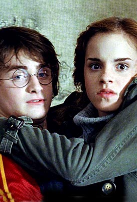 Hermione_Harry_273x400.jpg