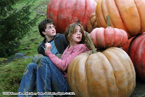 HarryHermione33.jpg
