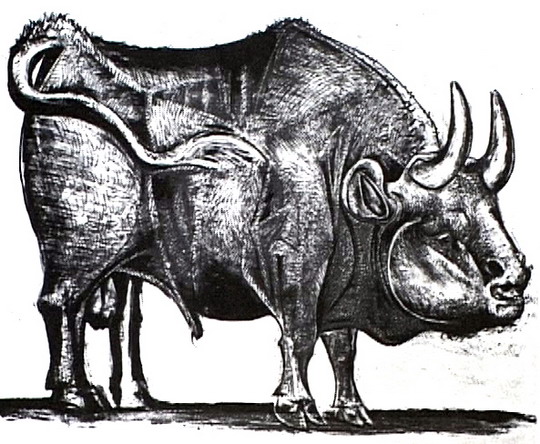 B6.jpg