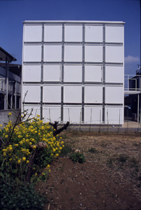 ni01.jpg