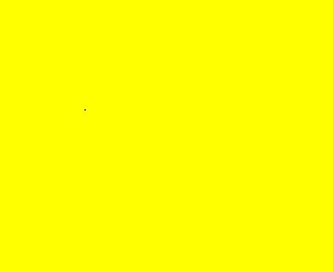 yellow.JPG