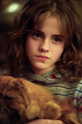 Hermioneandcat.jpg