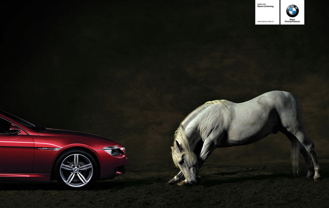 BMW_HORSE.jpg