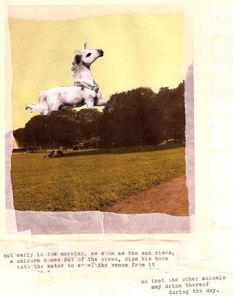 unicorn.JPG