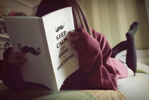tumblr_lb8fztqrnL1qamikho1_500.jpg