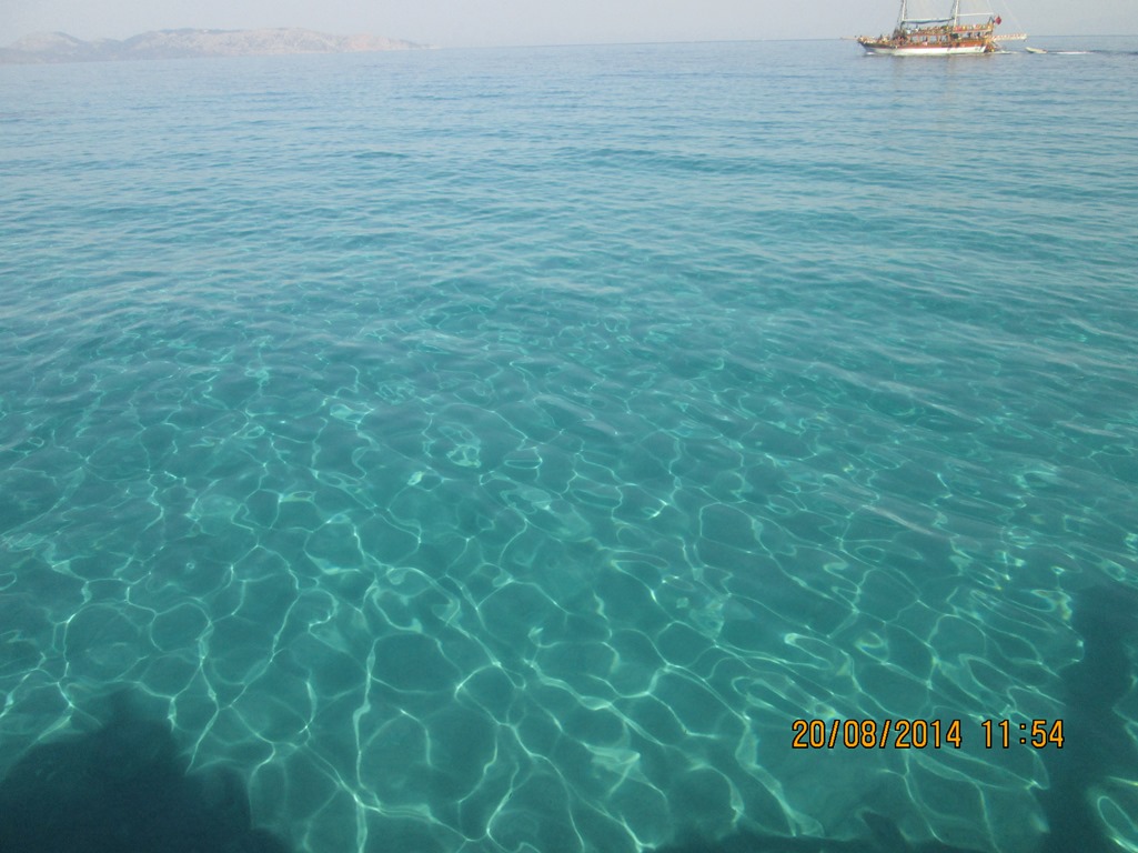 IMG_4659.JPG