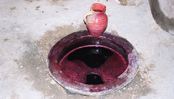 83d16987591c.jpg