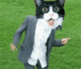 2.gif