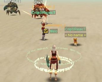 sro_client_2008_04_07_00_26_41_93.jpg