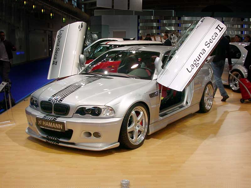 hamann_7.jpg