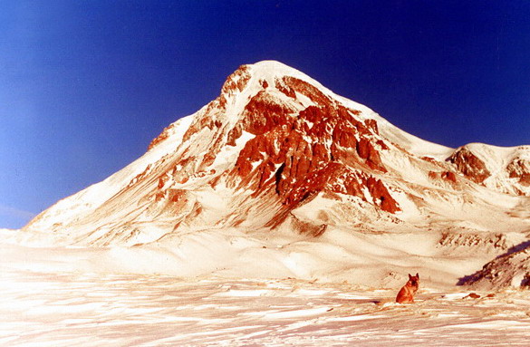 mkinvari006.jpg