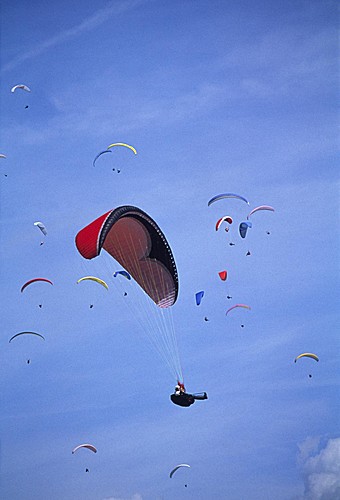 artax0001.jpg