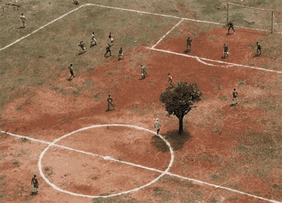 stadion_copy.gif