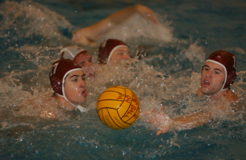 mens_waterpolo_01_small.jpg