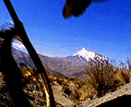 5456.gif