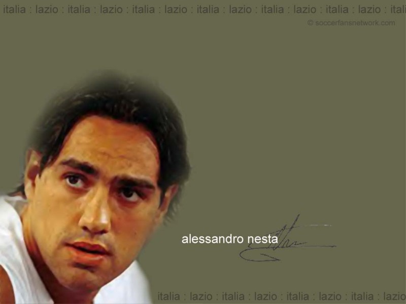 nesta1.sized.jpg