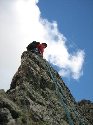 IMG_1421.jpg