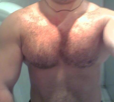 chest.jpg