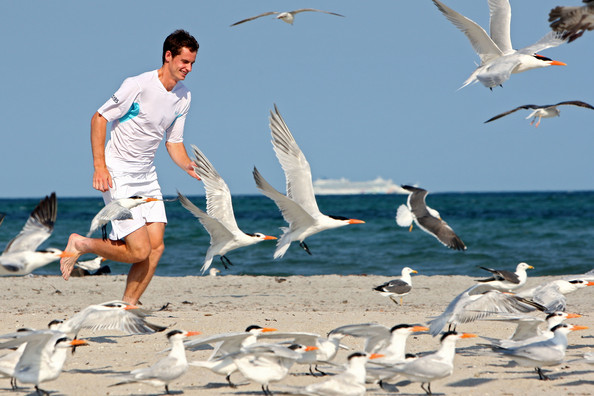 Sony_Ericsson_Open_Day_14_CHWbX4eNWA4l.jpg