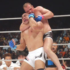 emelianenko_vs_fujita.jpg