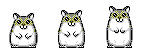 01.gif