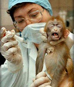 animal_testing.jpg