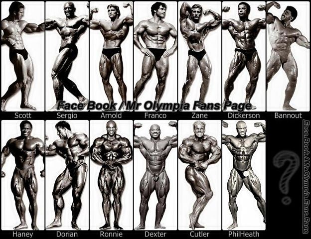 bodybuilder.jpg