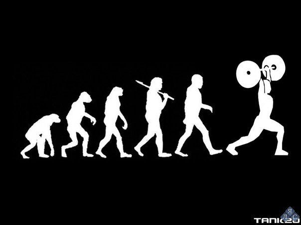 evolucia.jpg