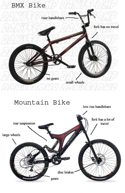 bmx_mtb.jpg