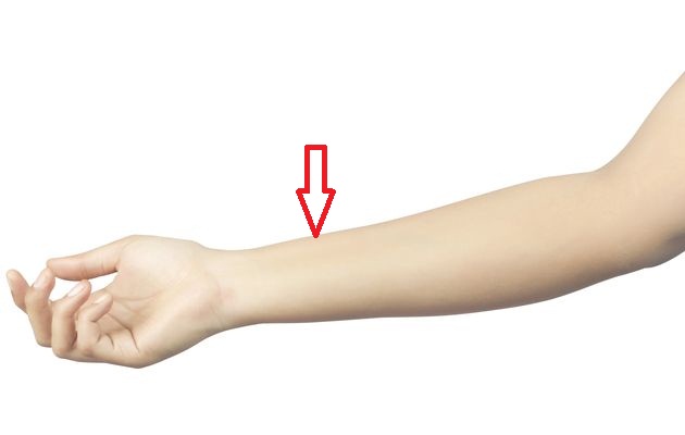arm.jpg