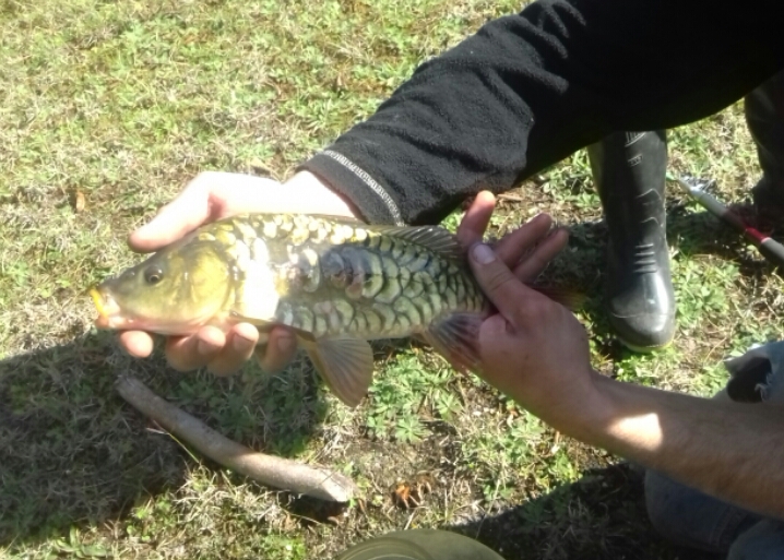 2016_10_06_19.59.23.jpg