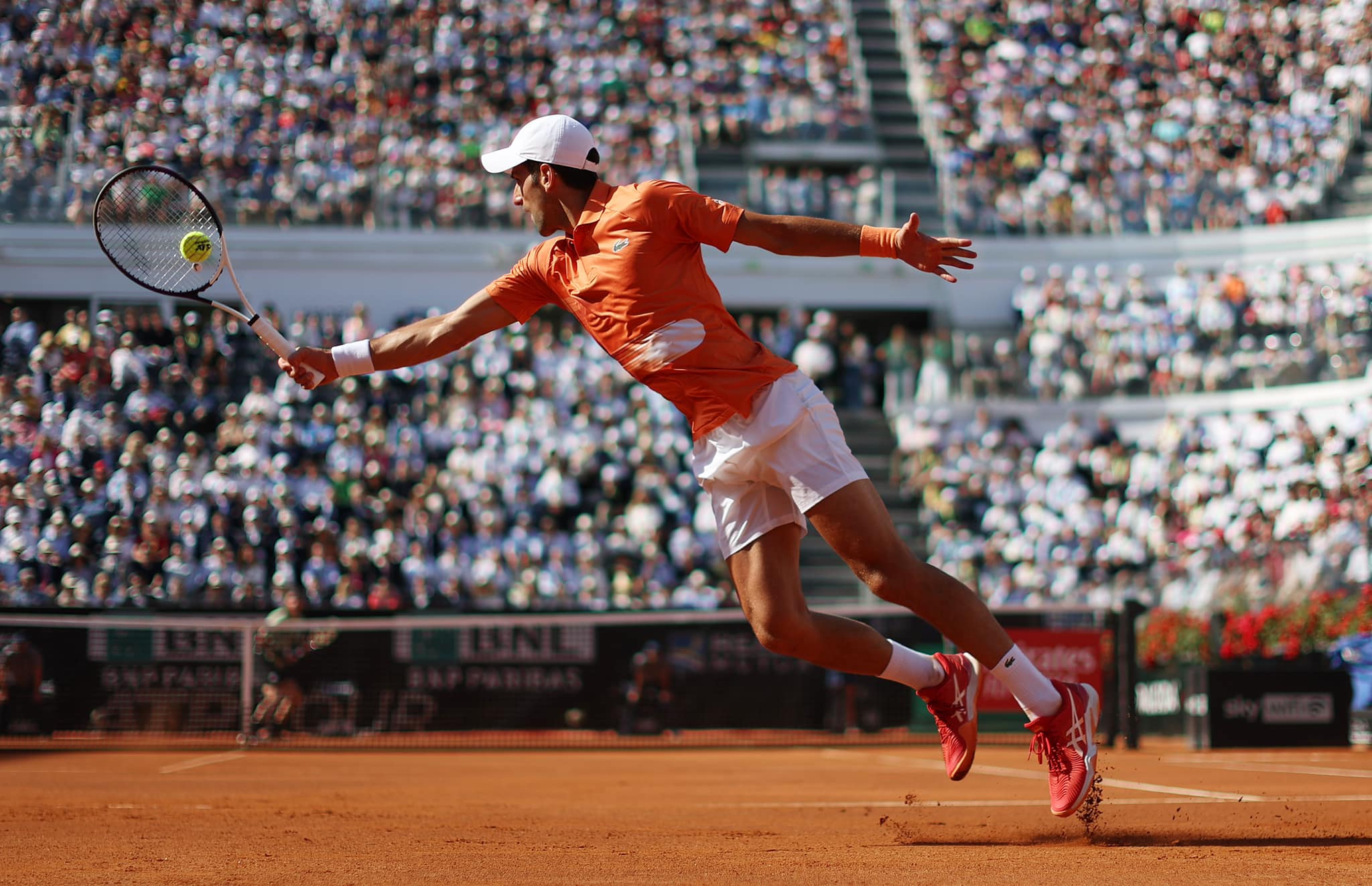 NOvak.jpg