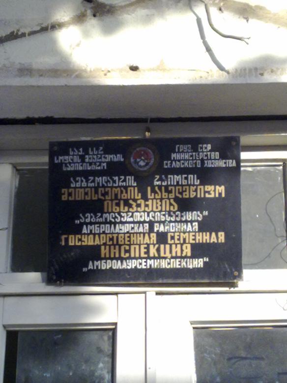 dzl.jpg