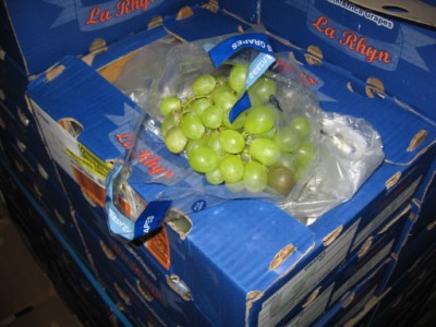 IMG_3932___.jpg