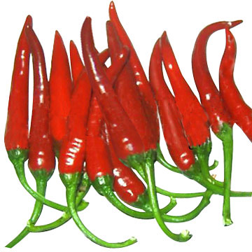 chili_peppers.jpg