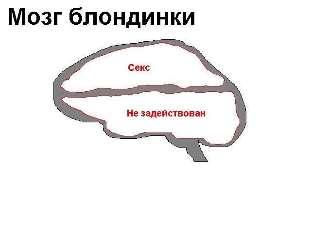 brainblond_1.jpg