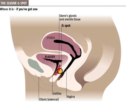 g_spot.jpg