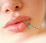 lips_copy.jpg
