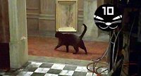 matrix.jpg