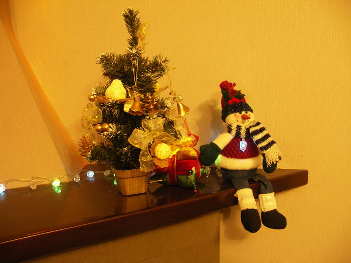 PICT1111_resize.JPG